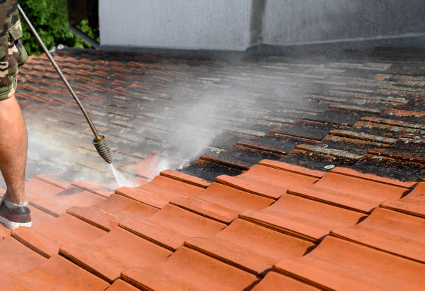 Best Pressure Washing Company Near Me  in Port Allegany, PA
