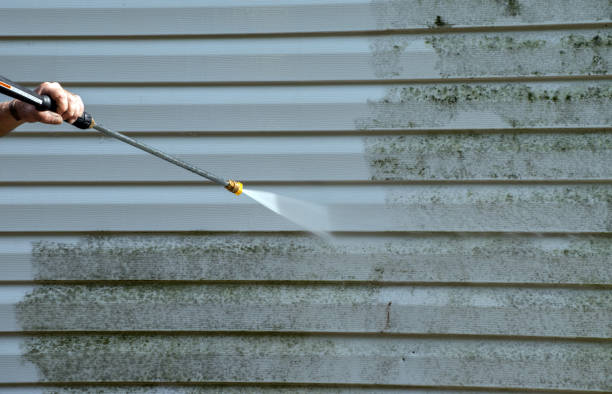 Best Affordable Pressure Washing  in Port Allegany, PA