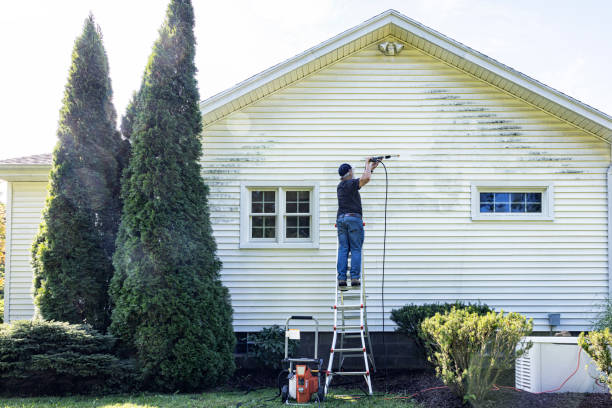 Best Concrete Pressure Washing  in Port Allegany, PA