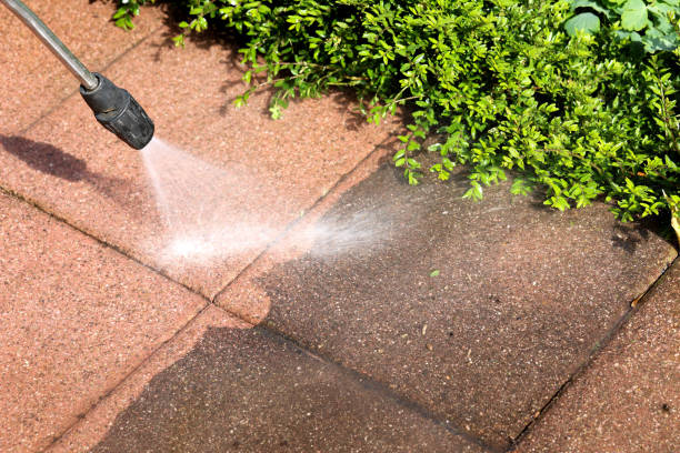 Best Deck Pressure Washing  in Port Allegany, PA